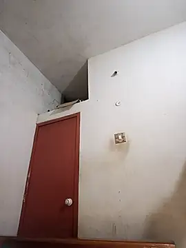 tamilsaisree online show from 9, 4, 2026