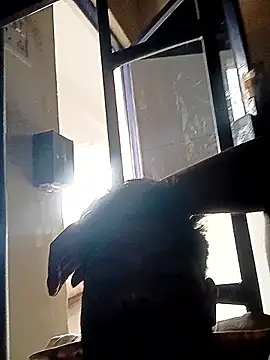 Anji8639 online show from 19, 4, 2026