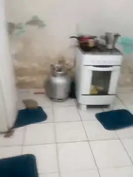 Snapshot of xxxxbucetuda_ chatting on 20, 12, 2025 xxxxbucetuda online show from 20, 12, 2025