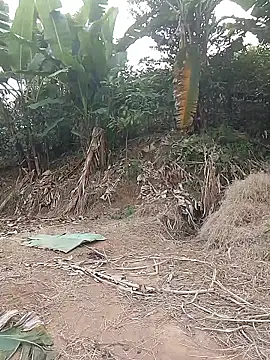 Snapshot of Menlike69 chatting on 11, 1, 2026 Menlike69 online show from 11, 1, 2026