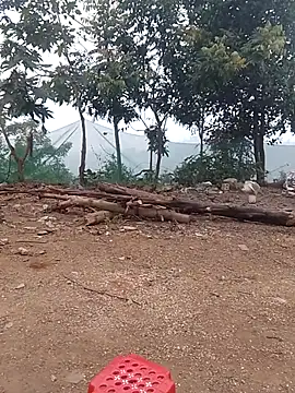 Snapshot of Menlike69 chatting on 15, 1, 2026 Menlike69 online show from 15, 1, 2026