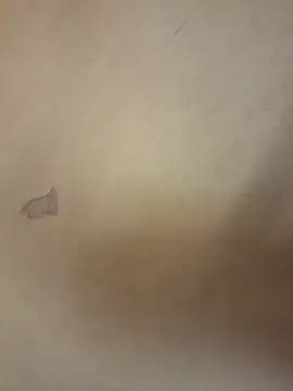 Snapshot of yourburget chatting on 19, 2, 2026 yourburget online show from 19, 2, 2026