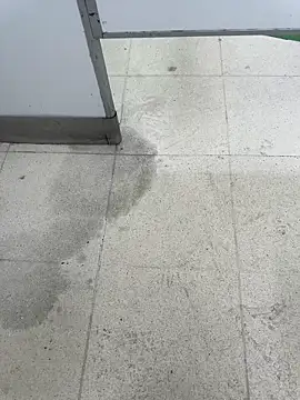 Latin Paisa Boy online show from 9, 4, 2026