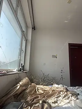 Qidandan778 online show from 25, 3, 2026