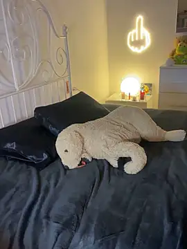 Snapshot of Tahero_98 chatting on 27, 2, 2026 Tahero 98 online show from 27, 2, 2026