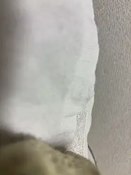 Snapshot of maonyan6 chatting on 13, 2, 2026 maonyan6 online show from 13, 2, 2026