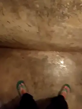 daksh  8 inche online show from 15, 1, 2026