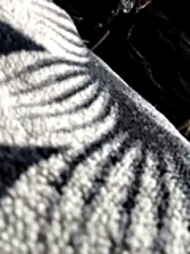 Bhavna8080 online show from 20, 2, 2026