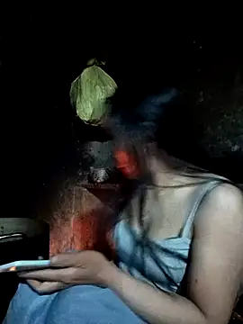 Snapshot of vanvan005 chatting on 6, 1, 2026 vanvan005 online show from 6, 1, 2026