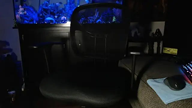 EspanolVato online show from 5, 2, 2026