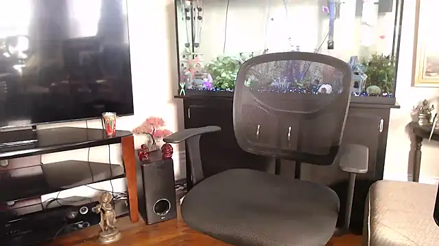 EspanolVato online show from 10, 3, 2026