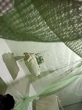 Jan 692 online show from 17, 2, 2026