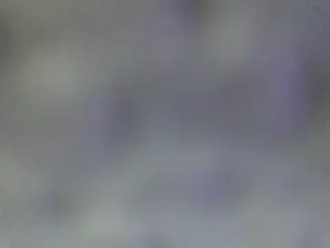 Minico25 online show from 29, 3, 2026