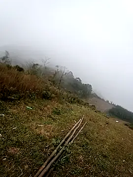 Snapshot of him220 chatting on 15, 2, 2026 him220 online show from 15, 2, 2026