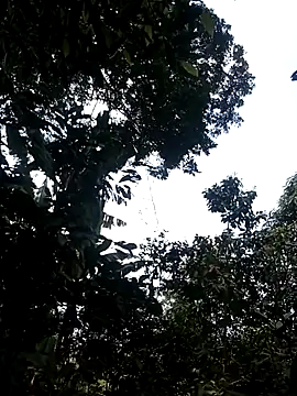 Snapshot of him220 chatting on 2, 3, 2026 him220 online show from 2, 3, 2026