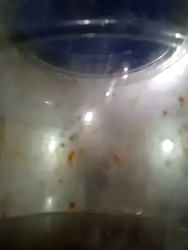 Snapshot of him220 chatting on 12, 3, 2026 him220 online show from 12, 3, 2026