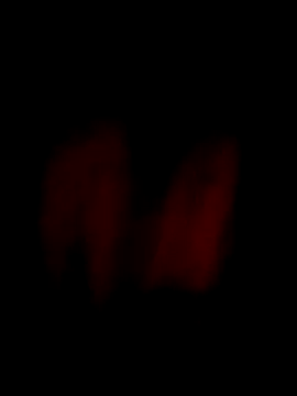 Snapshot of him220 chatting on 3, 4, 2026 him220 online show from 3, 4, 2026