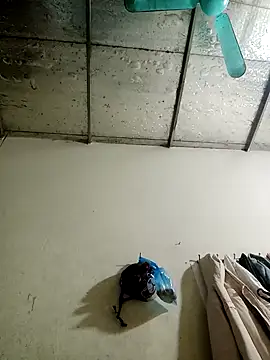 Sana-vn online show from 15, 1, 2026