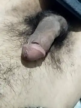 hananarab online show from 16, 3, 2026