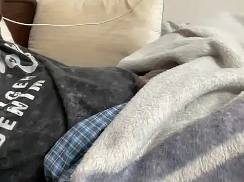 Snapshot of mdlaif1111 chatting on 10, 2, 2026 mdlaif1111 online show from 10, 2, 2026