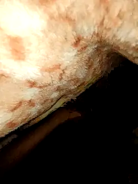 rohit16770 online show from 18, 1, 2026