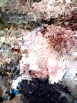 ParejaSutra69 online show from 8, 1, 2026