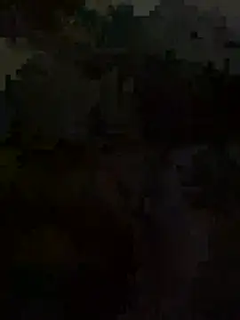 pitpoc online show from 4, 4, 2026