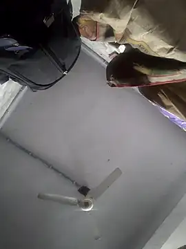 Snapshot of HadDrawers chatting on 5, 2, 2026 HadDrawers online show from 5, 2, 2026