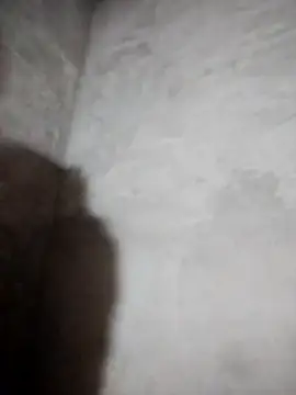 miray- online show from 8, 3, 2026