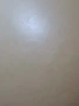 TRACYTOTO26 online show from 17, 2, 2026