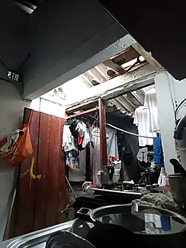 Snapshot of PatriciaGrajales chatting on 15, 3, 2026 PatriciaGrajales online show from 15, 3, 2026