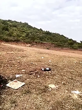 telugu026 online show from 12, 1, 2026