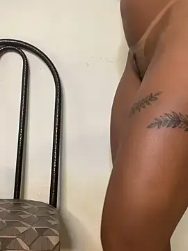 gatadaacademia online show from 13, 2, 2026