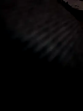 Boy4youuu online show from 29, 3, 2026