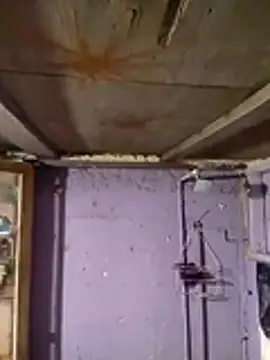 Snapshot of Guanatos13 chatting on 2, 2, 2026 Guanatos13 online show from 2, 2, 2026