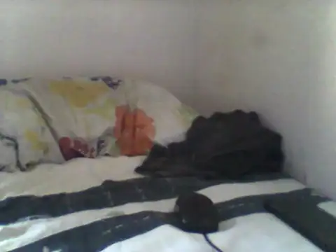 Snapshot of handsomeguy02 chatting on 14, 4, 2026 handsomeguy02 online show from 14, 4, 2026