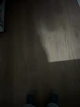 Snapshot of Hamsterdich chatting on 11, 1, 2026 Hamsterdich online show from 11, 1, 2026