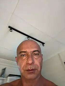 dogfrota online show from 8, 3, 2026