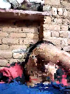 Hot di97 online show from 14, 2, 2026