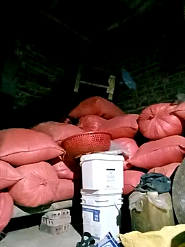 Diana-02 online show from 29, 3, 2026