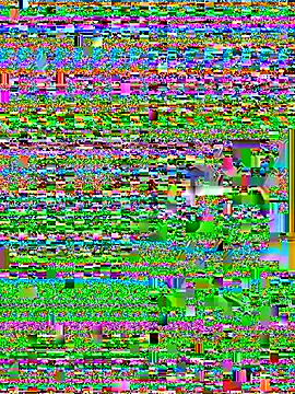 Snapshot of Wicy23 chatting on 29, 5, 2026 Wicy23 online show from 29, 5, 2026