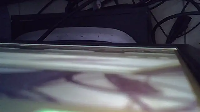 tekashi667 online show from 9, 7, 2026