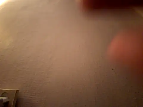 DanekBear online show from 14, 4, 2026