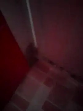 Snapshot of Cz_Drax chatting on 11, 2, 2026 Cz Drax online show from 11, 2, 2026