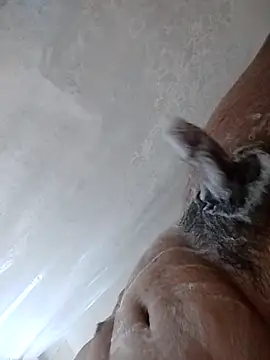 Snapshot of daringprince chatting on 17, 1, 2026 daringprince online show from 17, 1, 2026