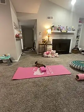 Pink mink21 online show from 3, 2, 2026