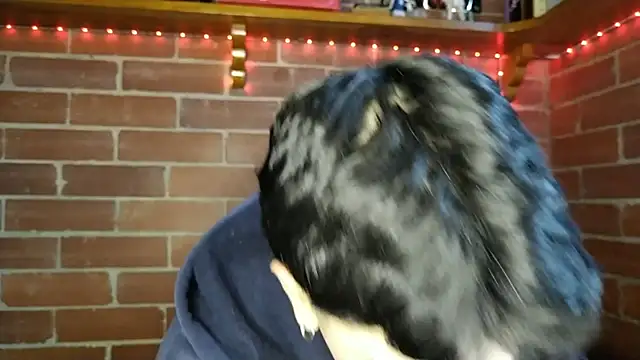 Snapshot of PaulDamico chatting on 2, 2, 2026 PaulDamico online show from 2, 2, 2026