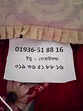 maisamim2 online show from 7, 3, 2026