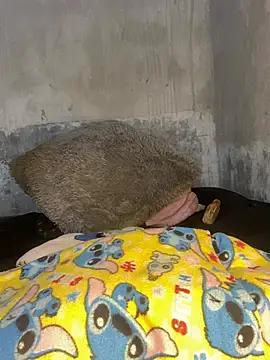 Iam AlexandraRey online show from 15, 2, 2026