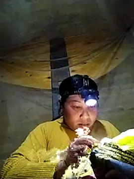 kussecka online show from 3, 2, 2026